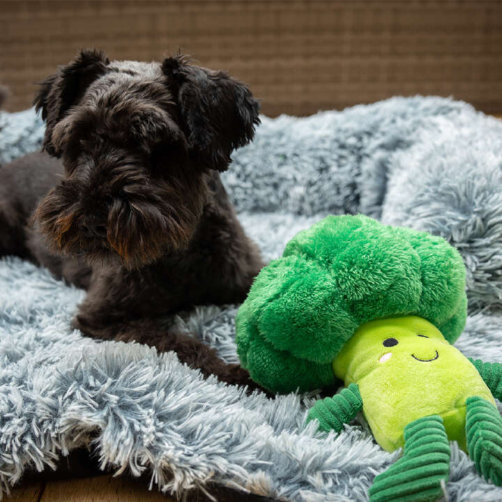 Nobby Plüschtier für Hunde, Plüschgemüse BROCCOLI